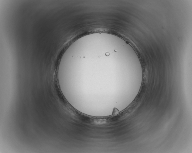 X0000113010355200908270944