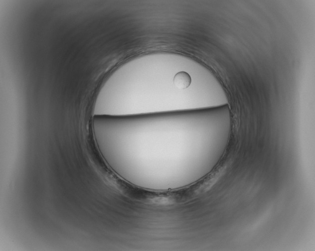 X0000113010358200908270944