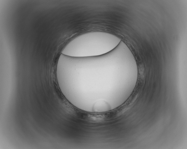 X0000113010359200908270944