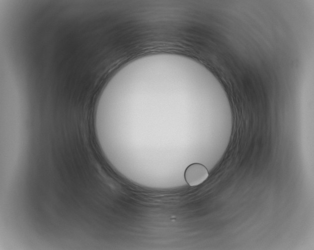 X0000113010360200908270944