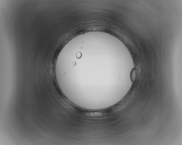 X0000113010361200908270944