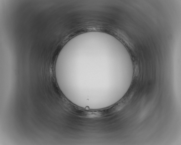 X0000113010363200908270944