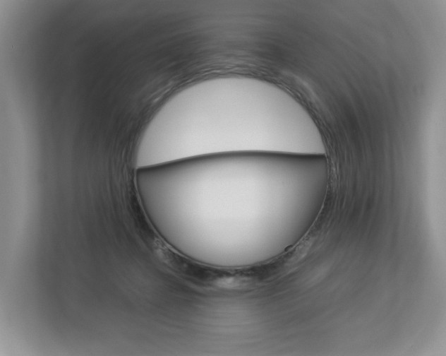 X0000113010364200908270944