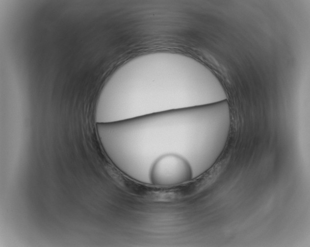 X0000113010366200908270944