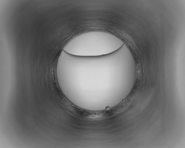 X0000113010369200908270944