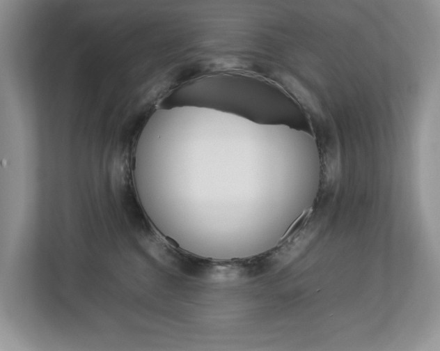 X0000113010376200908270944