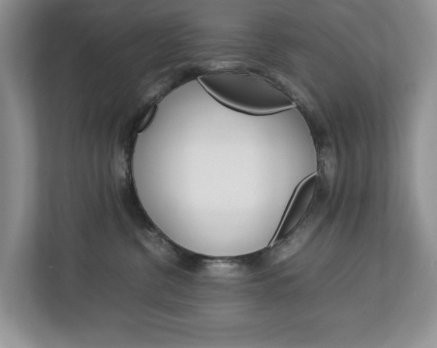 X0000113010380200908270944