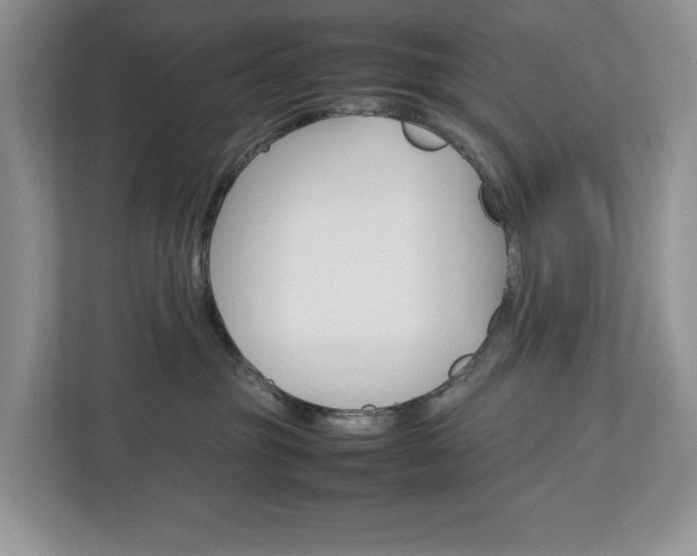X0000113010381200908270944