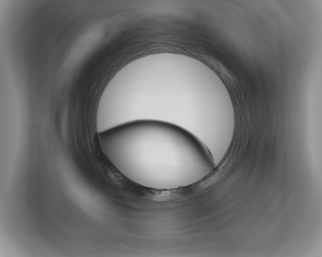 X0000113010382200908270944