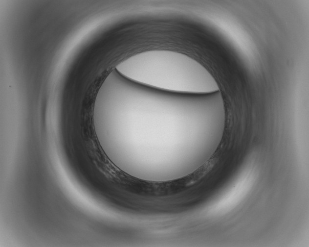X0000113010383200908270944