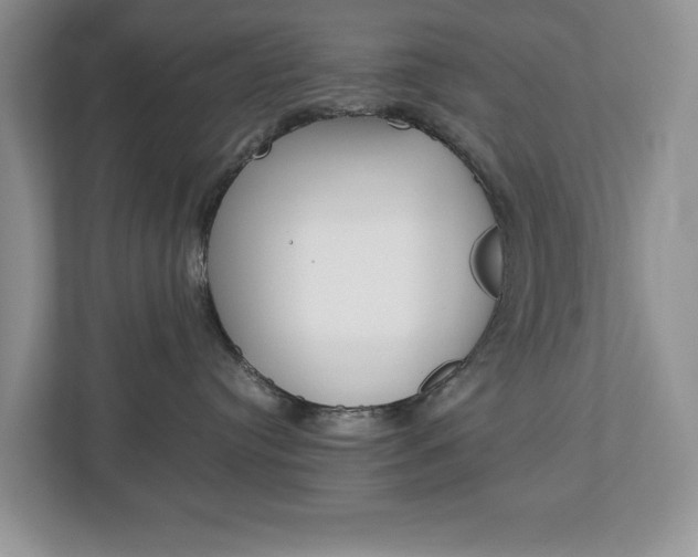 X0000113010384200908270944
