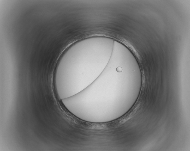 X0000113010386200908270944