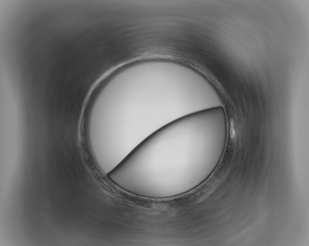X0000113010388200908270944