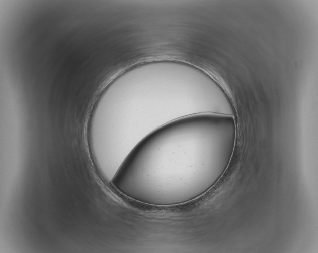 X0000113010389200908270944