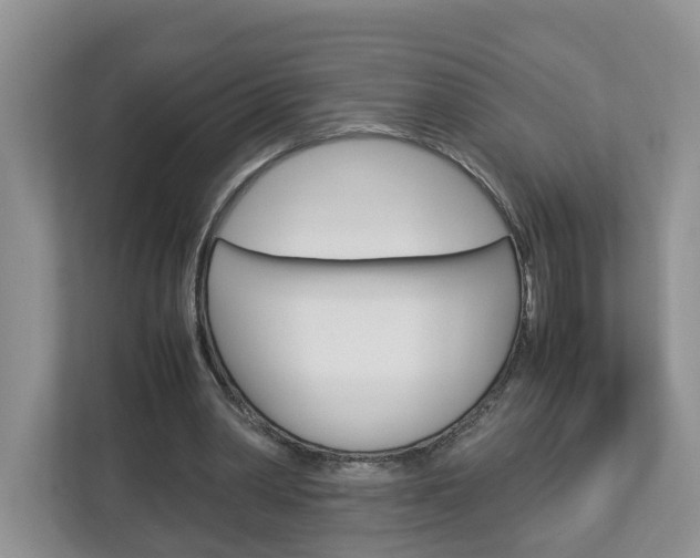 X0000113010390200908270944