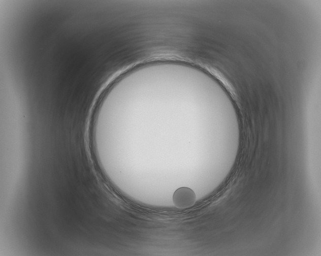 X0000113010391200908270944