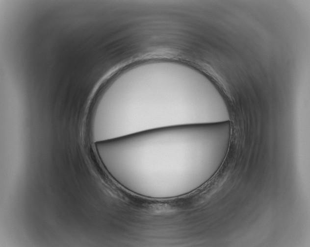X0000113010392200908270944