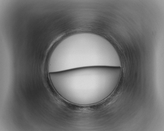 X0000113010396200908270944