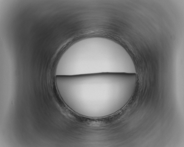 X0000113010400200908270944