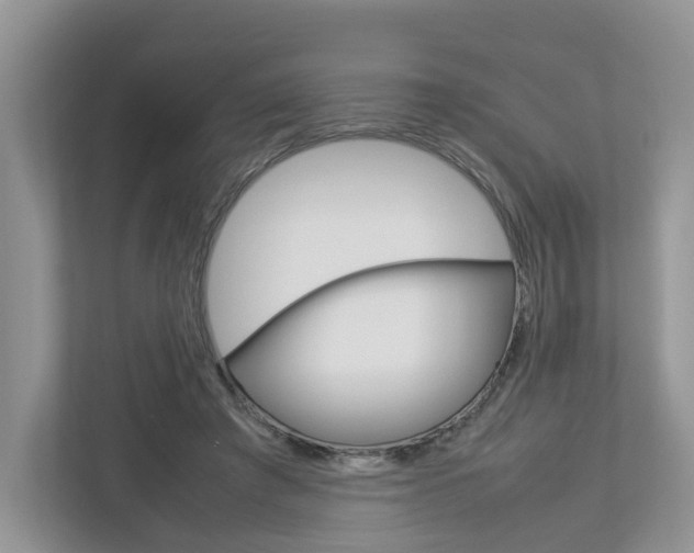 X0000113010401200908270944