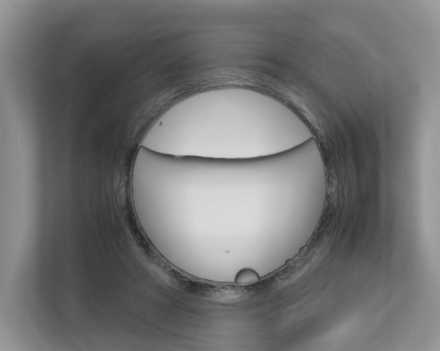X0000113010402200908270944
