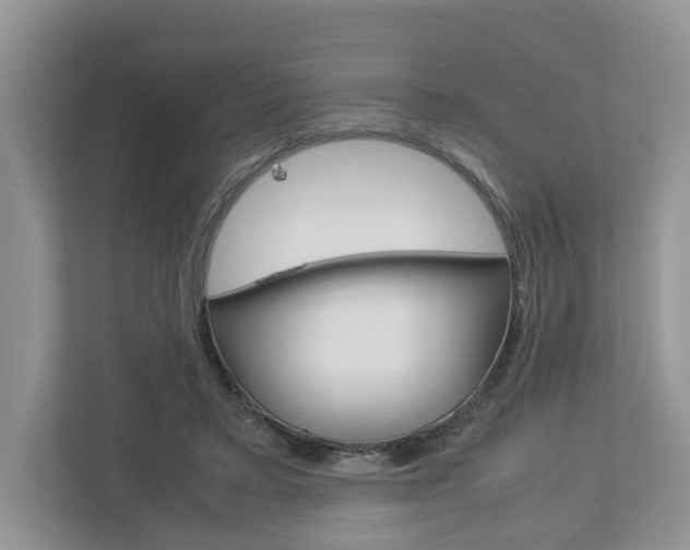 X0000113010403200908270944