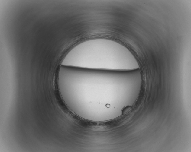X0000113010404200908270944