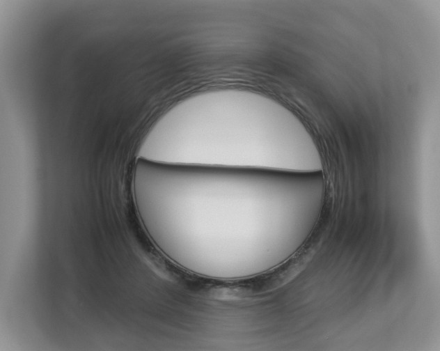 X0000113010408200908270944