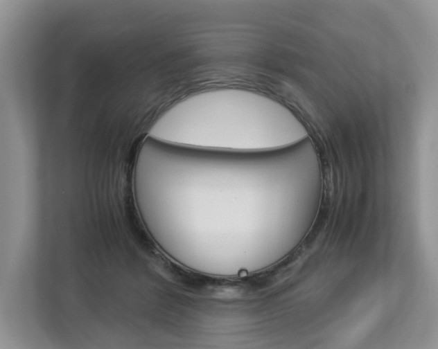 X0000113010412200908270943