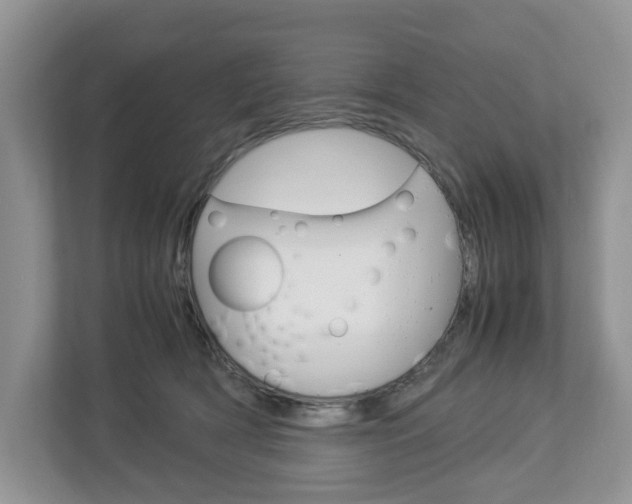 X0000113010418200908270943