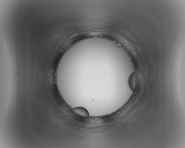 X0000113010421200908270943