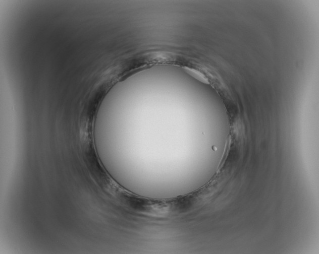 X0000113010423200908270943