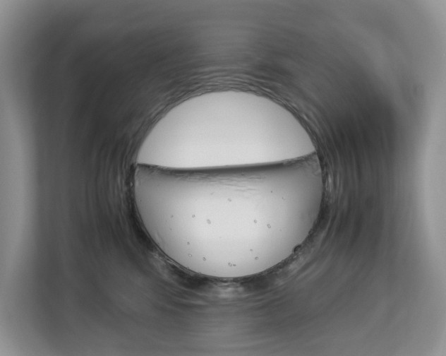 X0000113010424200908270943