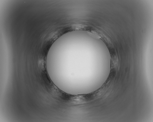 X0000113010427200908270943