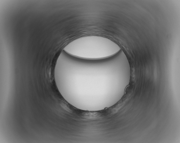 X0000113010428200908270943