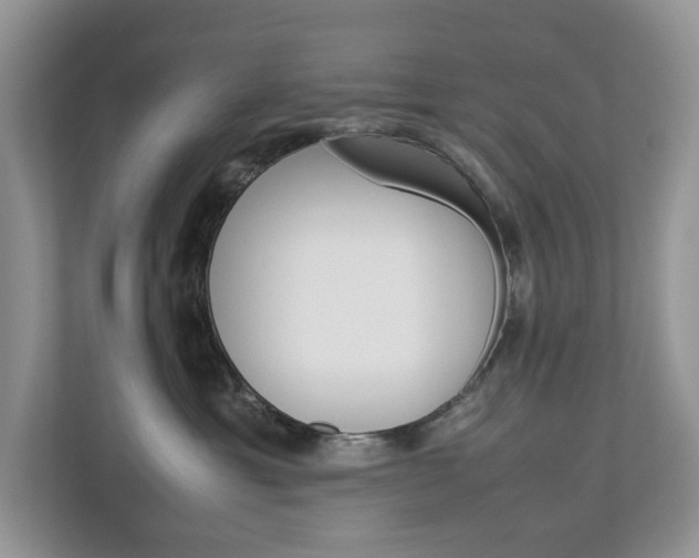 X0000113010429200908270943