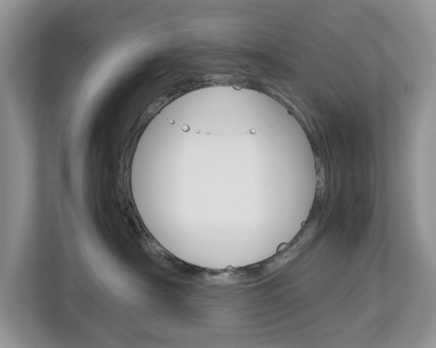 X0000113010430200908270943