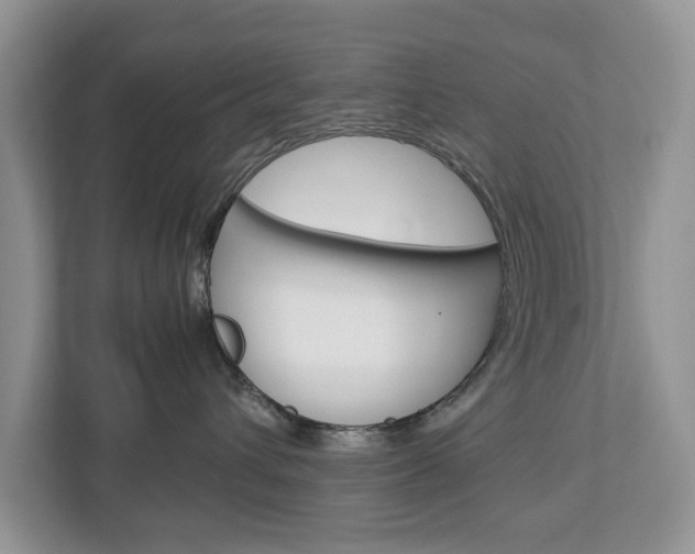 X0000113010432200908270943
