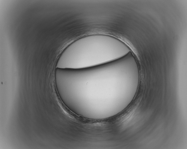 X0000113010433200908270943