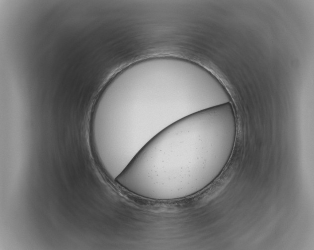 X0000113010434200908270943