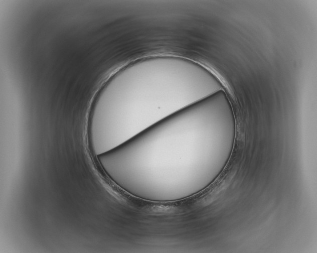 X0000113010437200908270943
