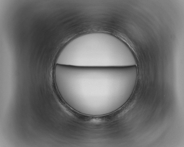 X0000113010441200908270943