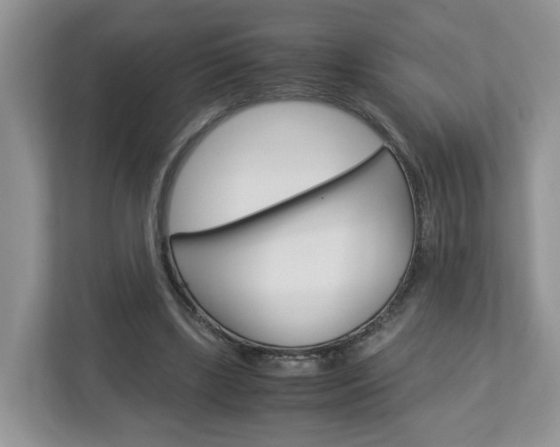 X0000113010443200908270943
