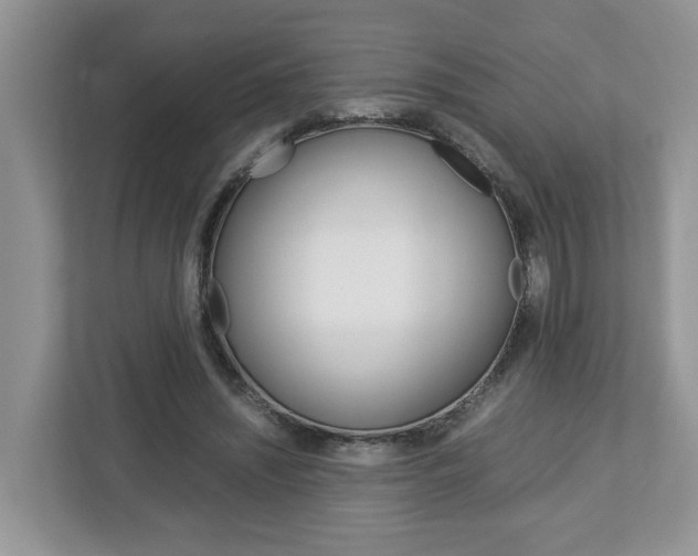 X0000113010444200908270943