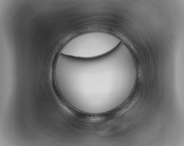 X0000113010445200908270943