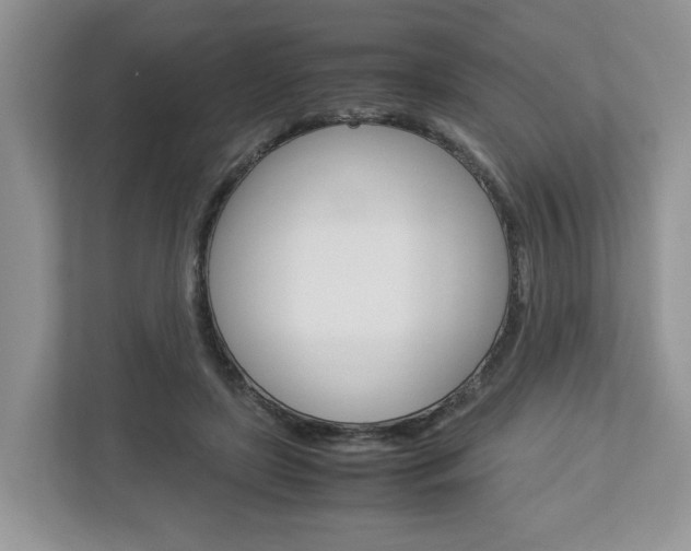 X0000113010451200908270943