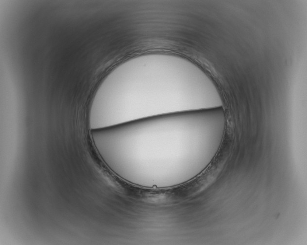 X0000113010454200908270943