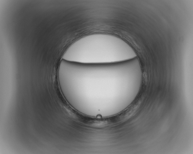 X0000113010458200908270943