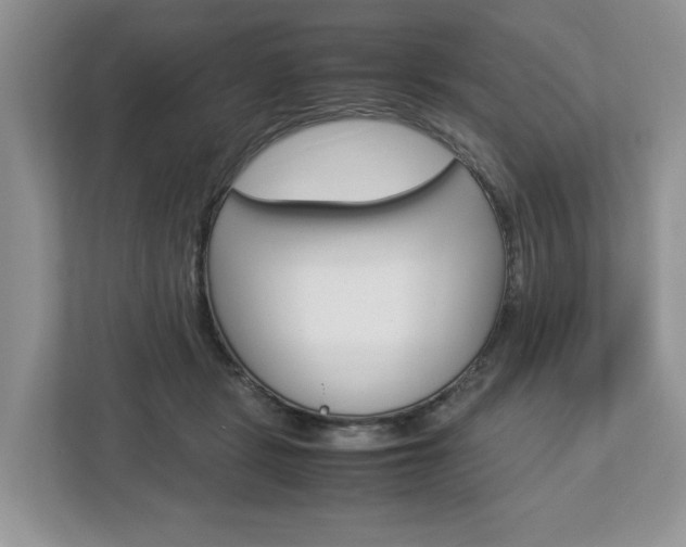 X0000113010461200908270943