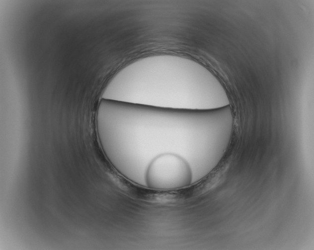 X0000113010462200908270943